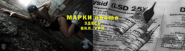 индика Баксан