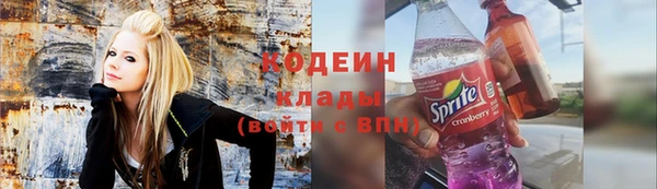 индика Баксан