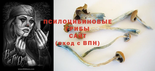 хмурый Балабаново
