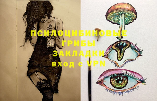 мдпв Балахна